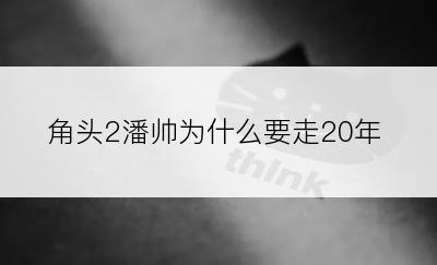 角头2潘帅为什么要走20年