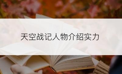 天空战记人物介绍实力