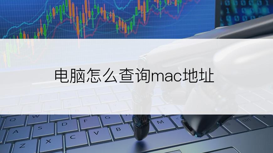 电脑怎么查询mac地址