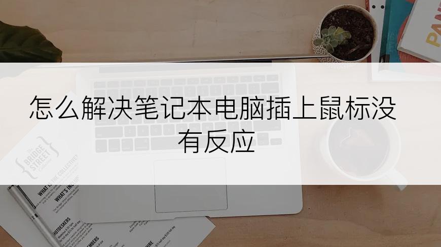 怎么解决笔记本电脑插上鼠标没有反应