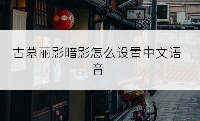 古墓丽影暗影怎么设置中文语音