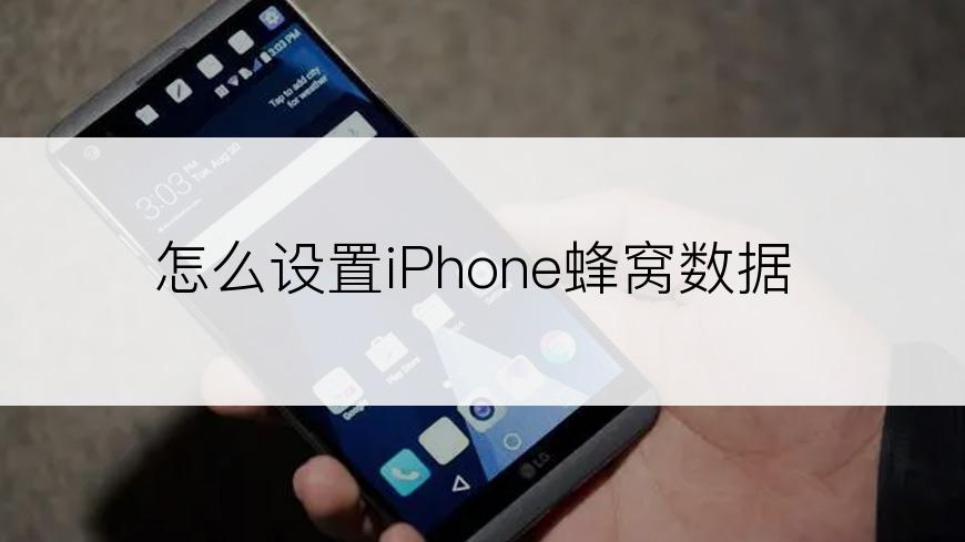 怎么设置iPhone蜂窝数据