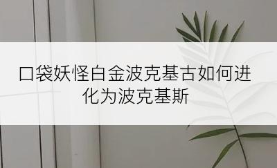 口袋妖怪白金波克基古如何进化为波克基斯