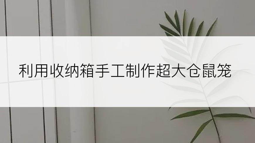 利用收纳箱手工制作超大仓鼠笼