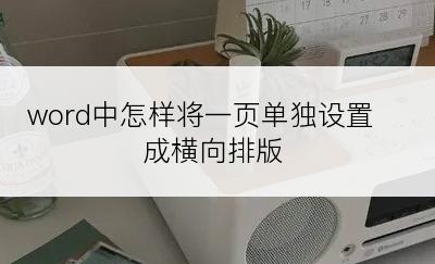 word中怎样将一页单独设置成横向排版