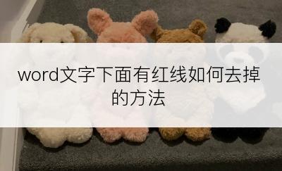 word文字下面有红线如何去掉的方法