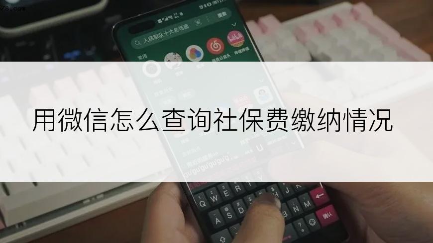 用微信怎么查询社保费缴纳情况