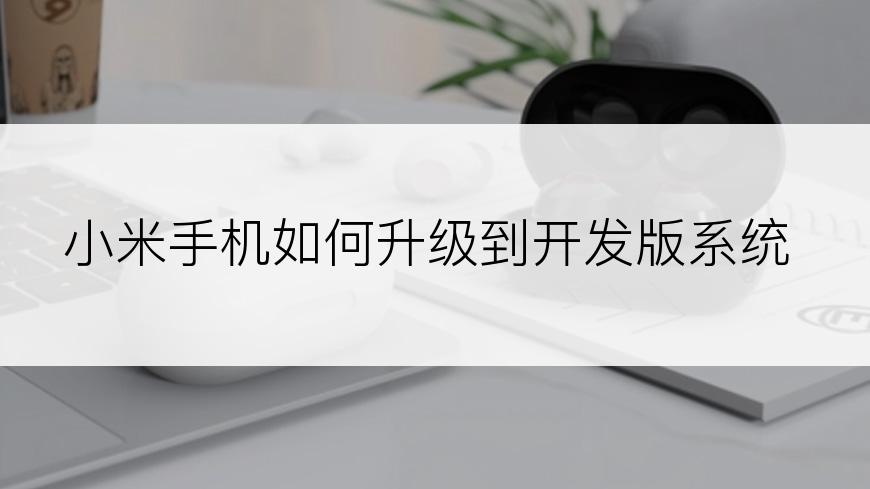 小米手机如何升级到开发版系统