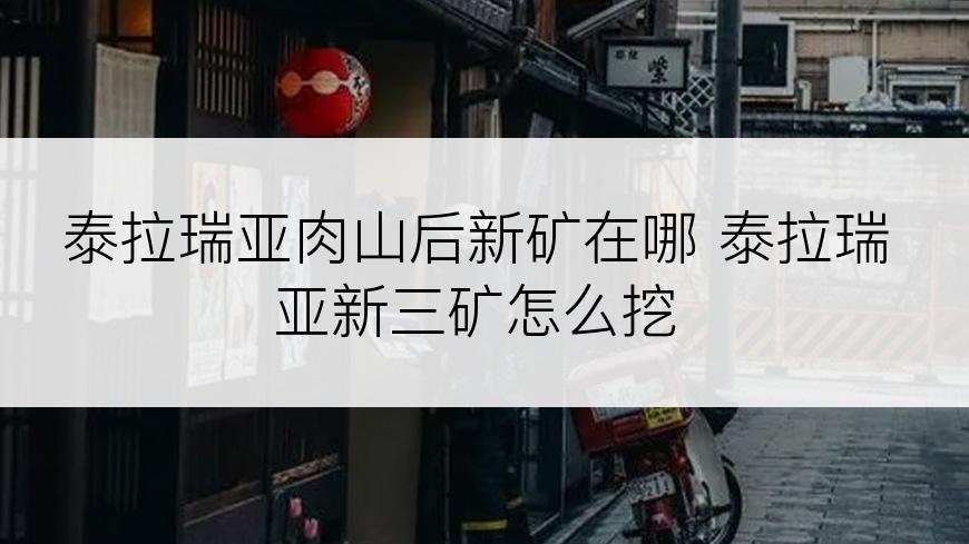 泰拉瑞亚肉山后新矿在哪 泰拉瑞亚新三矿怎么挖