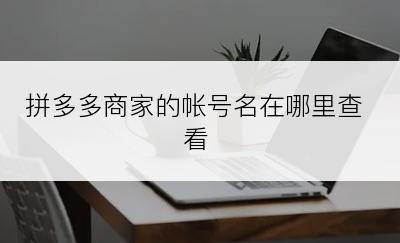 拼多多商家的帐号名在哪里查看