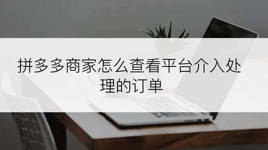 拼多多商家怎么查看平台介入处理的订单