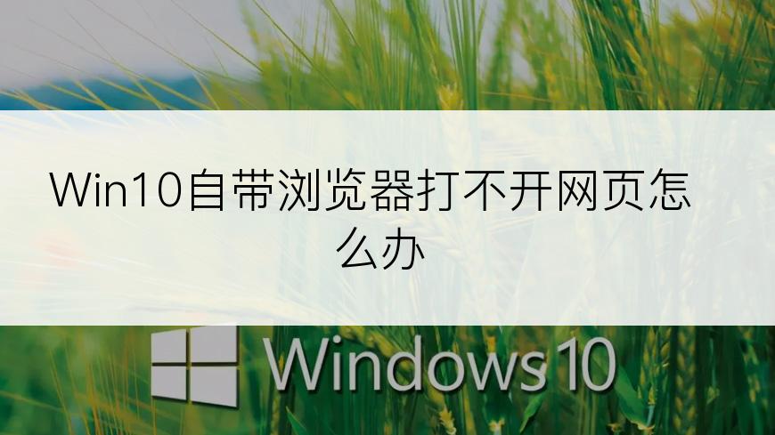 Win10自带浏览器打不开网页怎么办