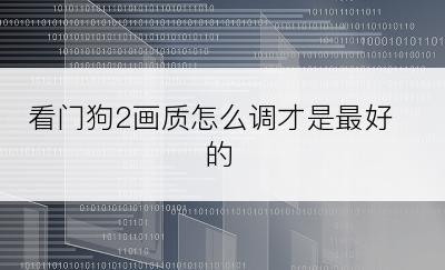 看门狗2画质怎么调才是最好的