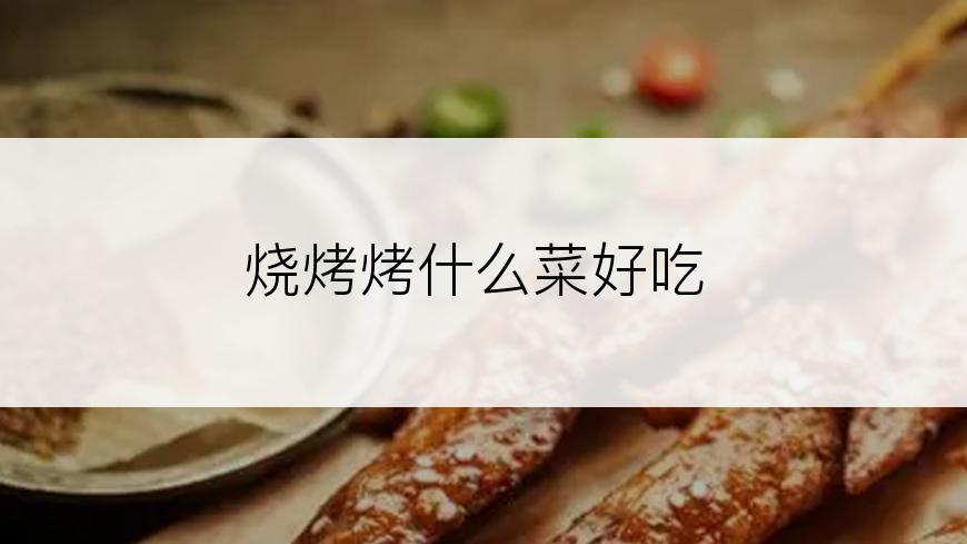 烧烤烤什么菜好吃