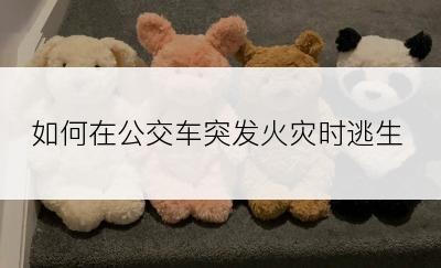 如何在公交车突发火灾时逃生