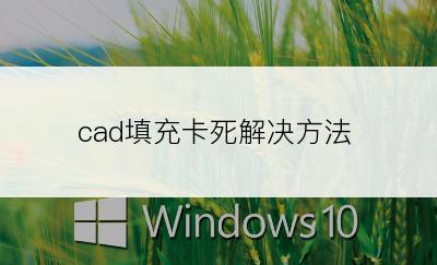 cad填充卡死解决方法