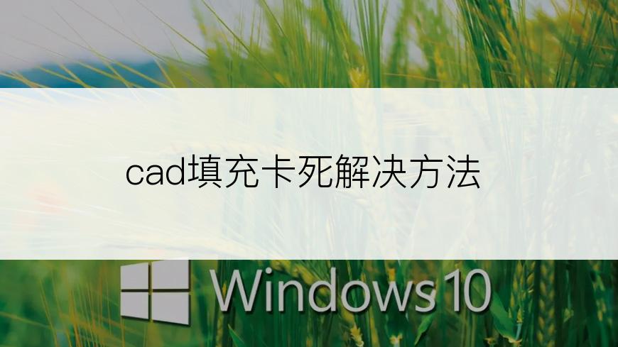 cad填充卡死解决方法