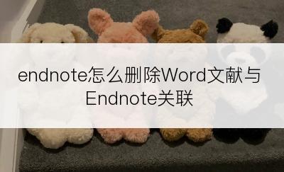 endnote怎么删除Word文献与Endnote关联