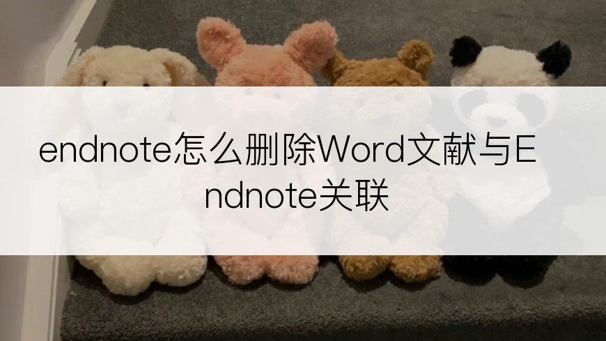 endnote怎么删除Word文献与Endnote关联