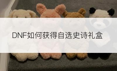 DNF如何获得自选史诗礼盒