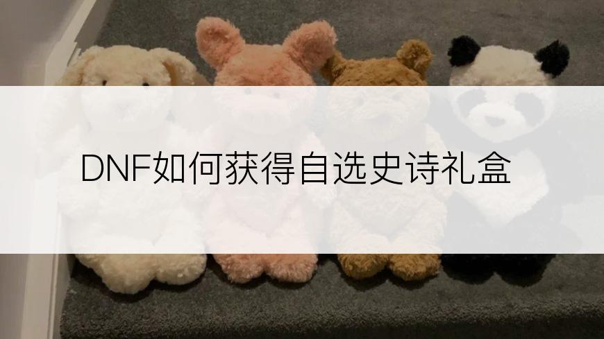 DNF如何获得自选史诗礼盒