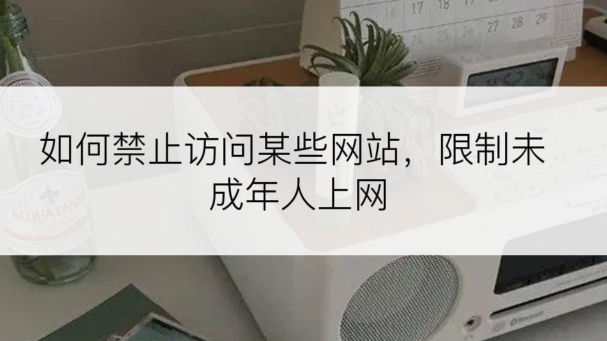 如何禁止访问某些网站，限制未成年人上网