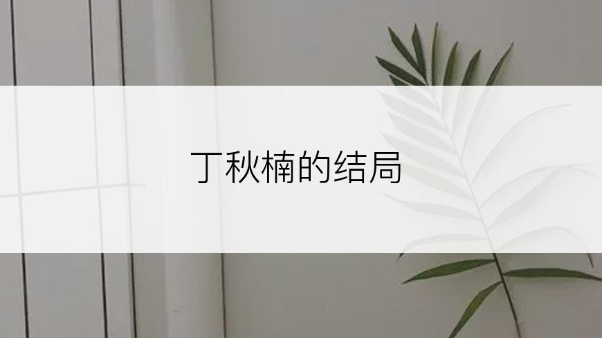 丁秋楠的结局