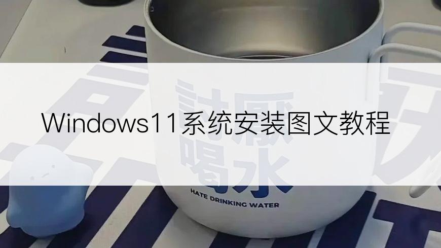 Windows11系统安装图文教程