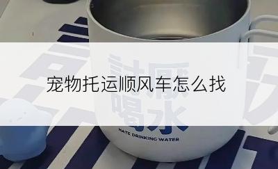 宠物托运顺风车怎么找