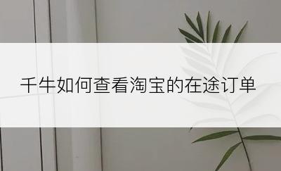 千牛如何查看淘宝的在途订单