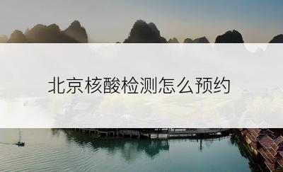 北京核酸检测怎么预约