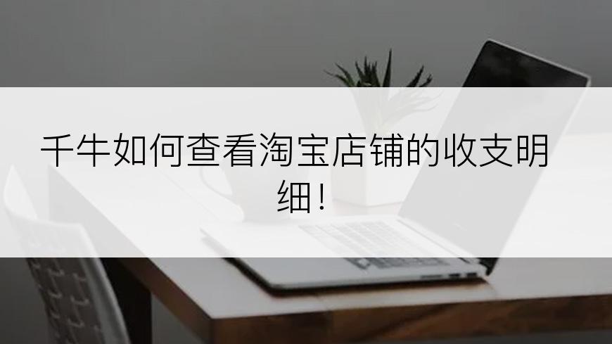 千牛如何查看淘宝店铺的收支明细！