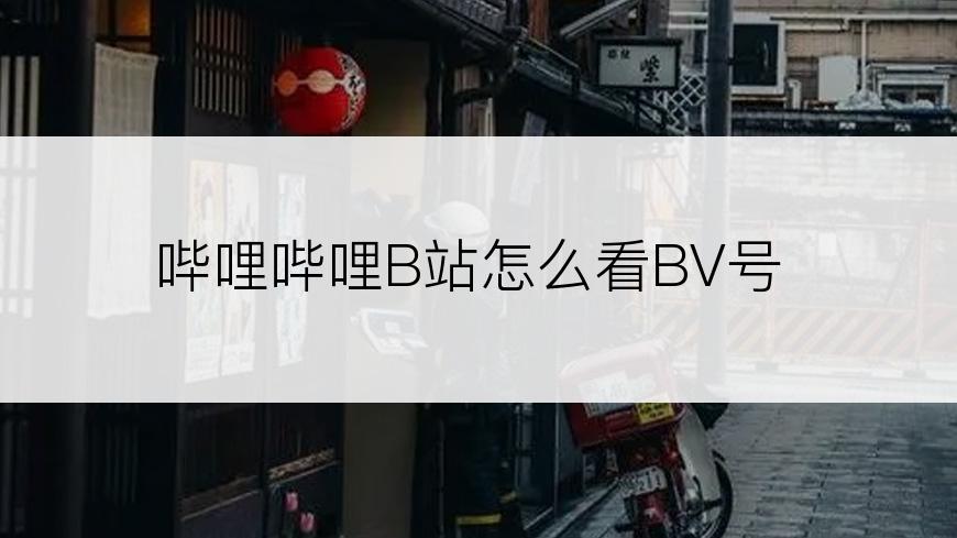 哔哩哔哩B站怎么看BV号