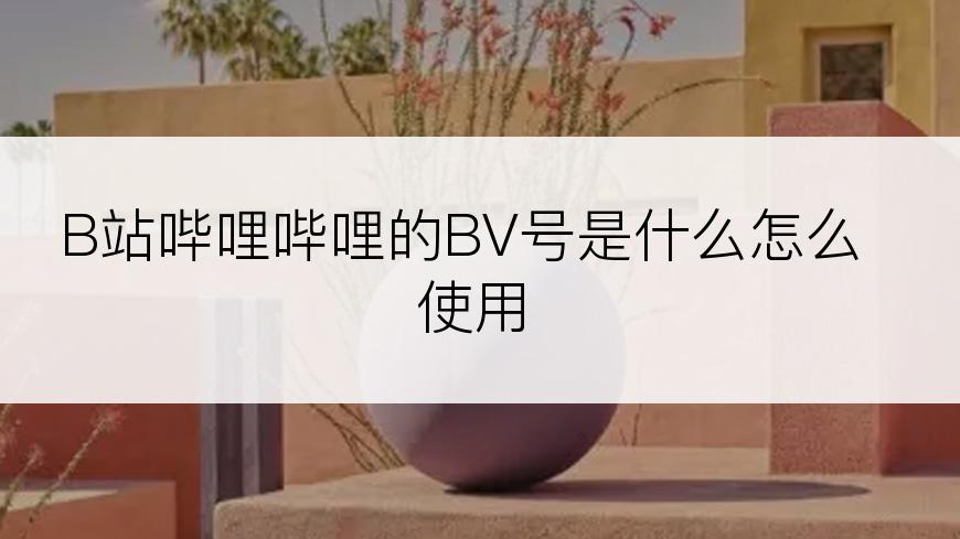 B站哔哩哔哩的BV号是什么怎么使用