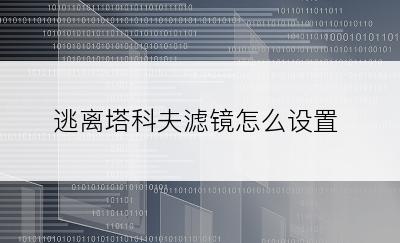 逃离塔科夫滤镜怎么设置