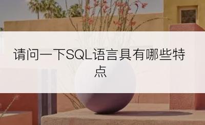 请问一下SQL语言具有哪些特点