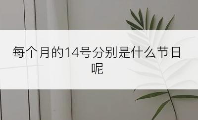 每个月的14号分别是什么节日呢