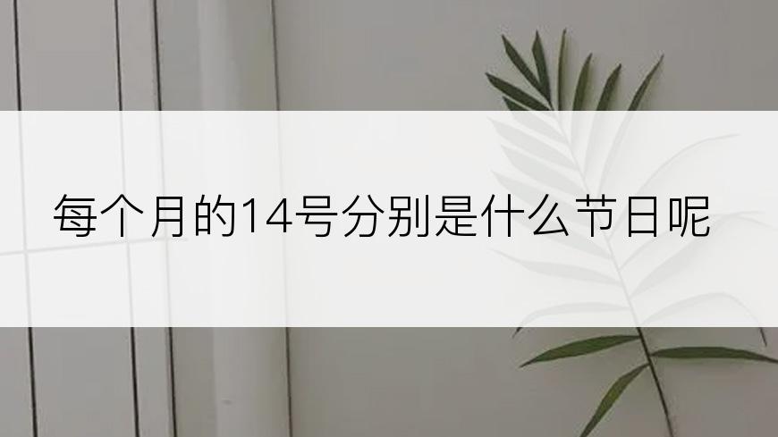 每个月的14号分别是什么节日呢