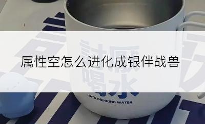 属性空怎么进化成银伴战兽