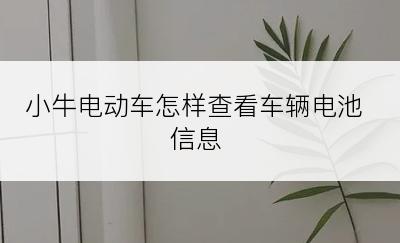 小牛电动车怎样查看车辆电池信息