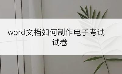 word文档如何制作电子考试试卷