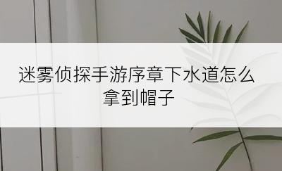 迷雾侦探手游序章下水道怎么拿到帽子