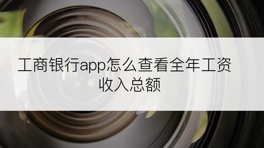 工商银行app怎么查看全年工资收入总额