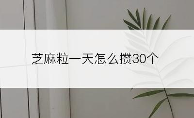 芝麻粒一天怎么攒30个