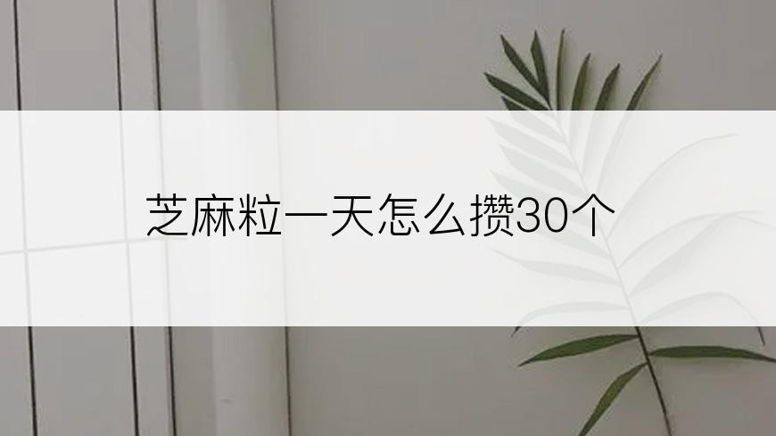 芝麻粒一天怎么攒30个