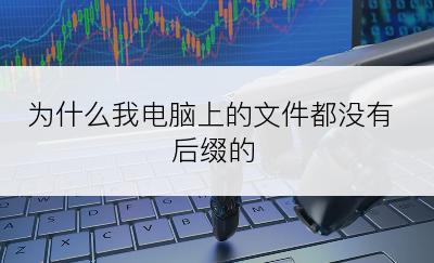 为什么我电脑上的文件都没有后缀的