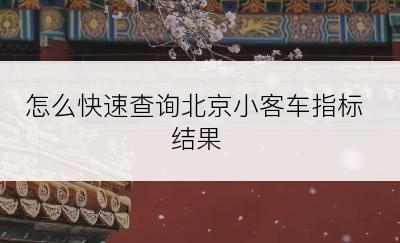 怎么快速查询北京小客车指标结果