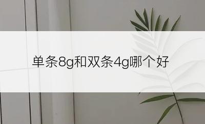 单条8g和双条4g哪个好