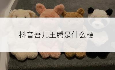 抖音吾儿王腾是什么梗