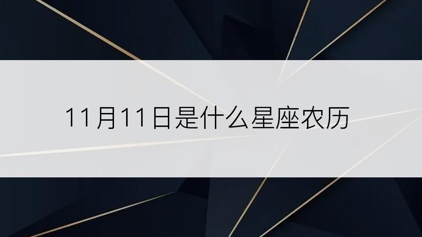 11月11日是什么星座农历